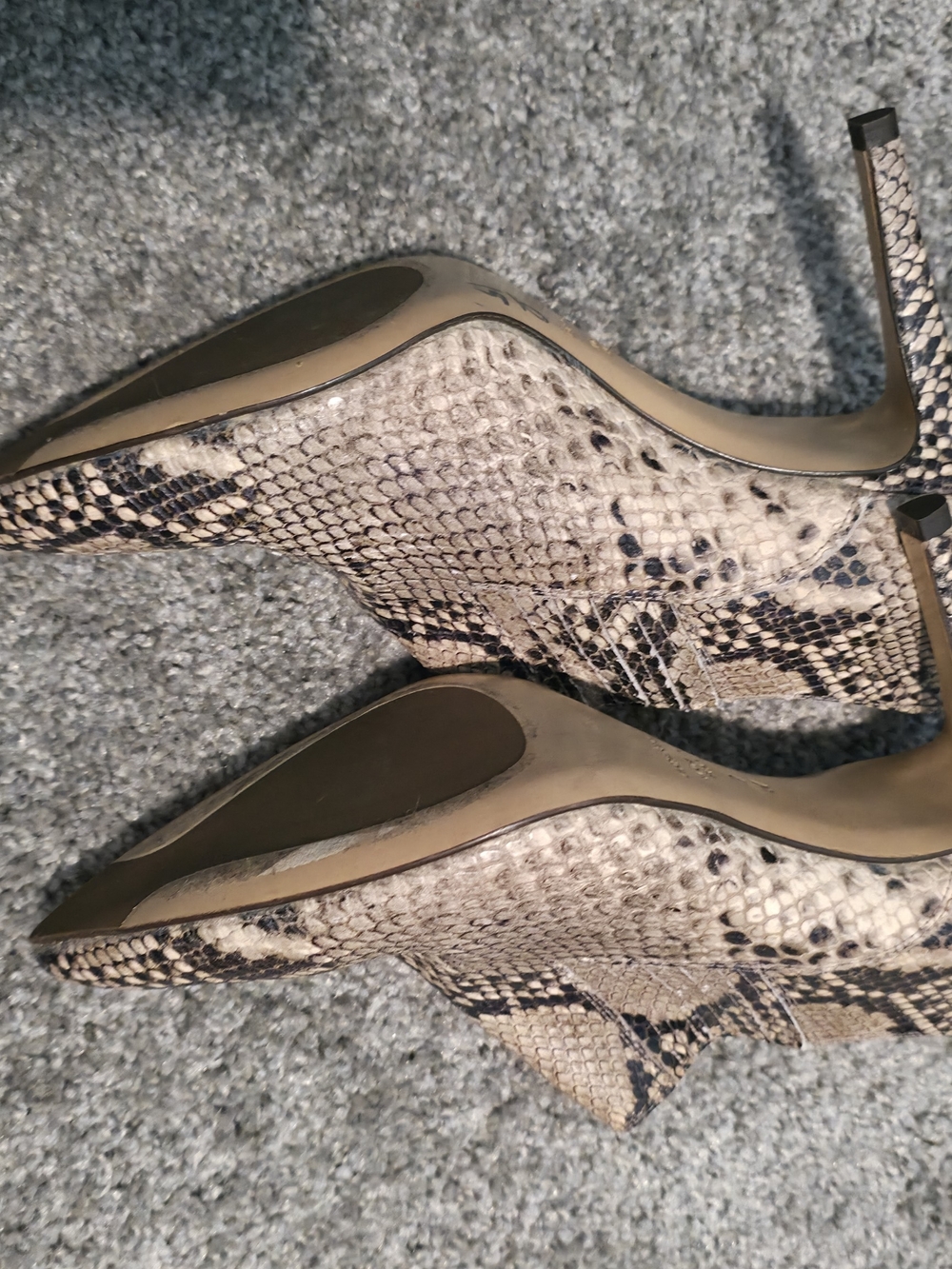 Snake-Print Pointed Toe Stiletto Pumps - Beige/Black